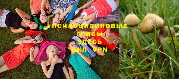 ПСИЛОЦИБИНОВЫЕ ГРИБЫ Анива