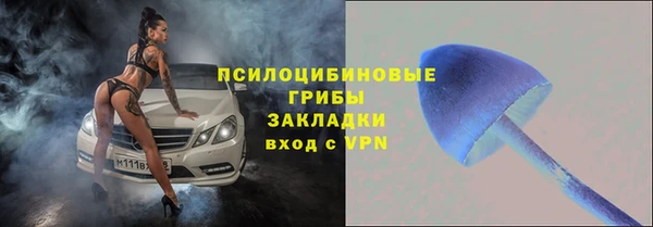 спиды Бугульма