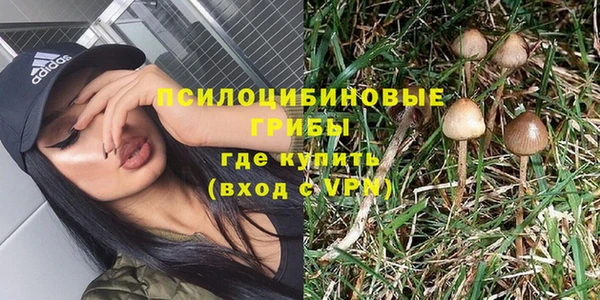 а пвп мука Богданович