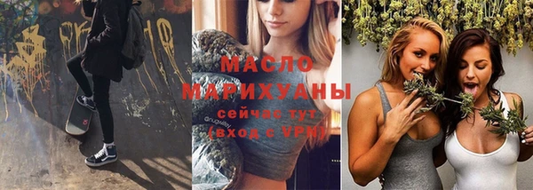 гидра Анжеро-Судженск