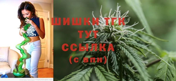 спиды Бугульма