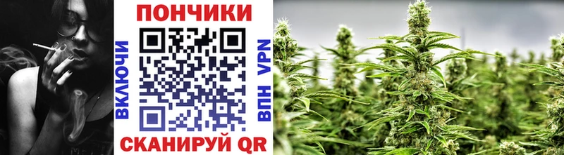 Бошки марихуана планчик  Минеральные Воды 